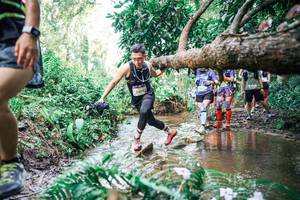 BIB: 
                            <button type="button" onclick="openModal(25516049)" class="btn btn-primary btn-sm float-right btn-popup" data-toggle="modal" data-target=".modal-high-quality">
                        <i class="fas fa-shopping-cart"></i> Add to Cart
                    </button>
                                            <button type="button" onclick="isThisMe(25516049, true)" class="btn btn-success btn-sm float-right btn-popup btn-isme hidden" data-toggle="tooltip" data-placement="bottom" title="นี่คือรูปของคุณใช่ไหม คลิกที่นี่เพื่อเอาเข้าอัลบั้ม">
                        <i class="fas fa-plus"></i> Add to album
                    </button>
                    <button type="button" onclick="isThisMe(25516049, false)" class="btn btn-warning btn-sm float-right btn-popup btn-isnotme hidden">
                        <i class="fas fa-ban"></i> Remove from album
                    </button>